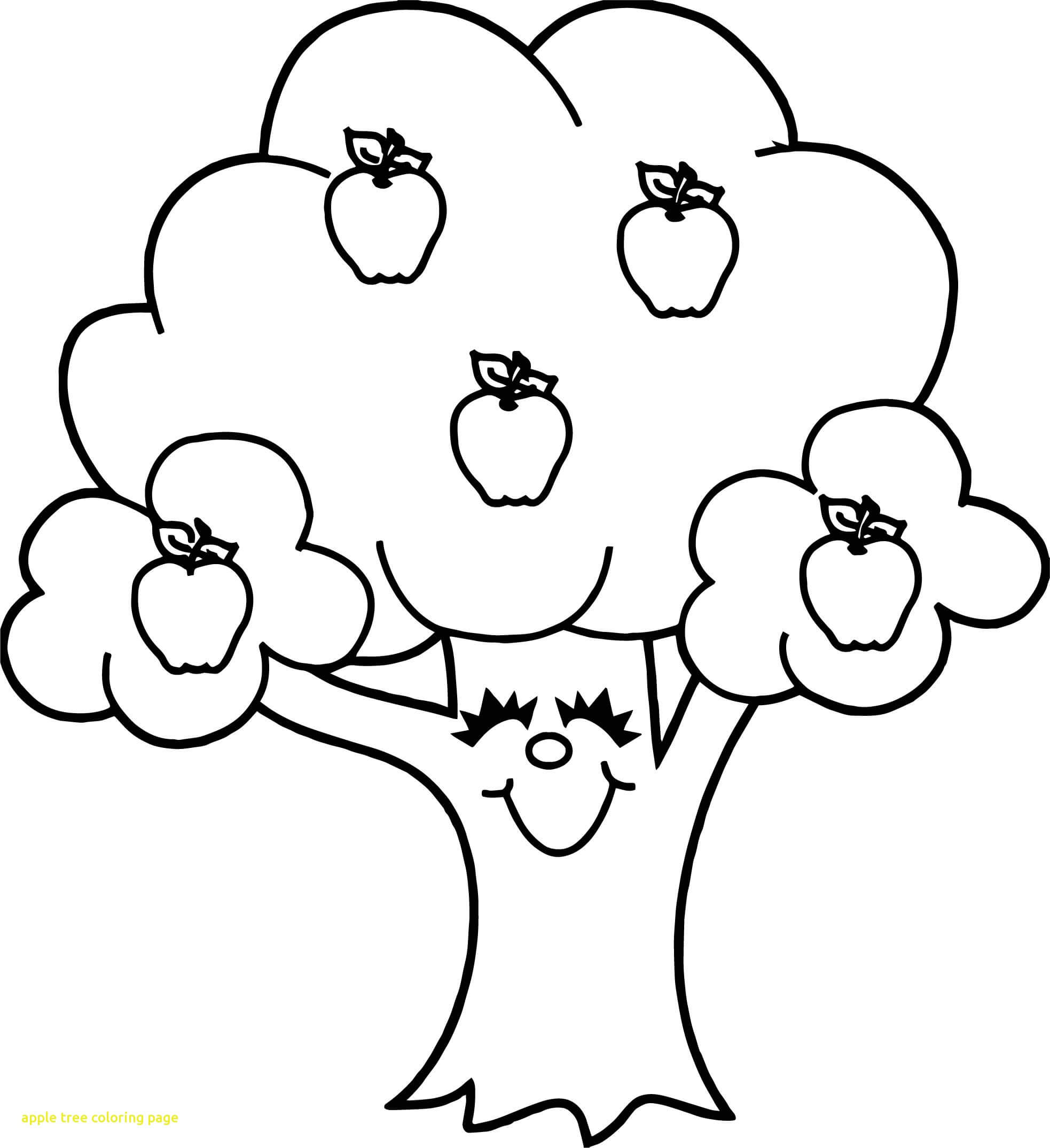 Dibujo de Lindo Manzano para Colorear y