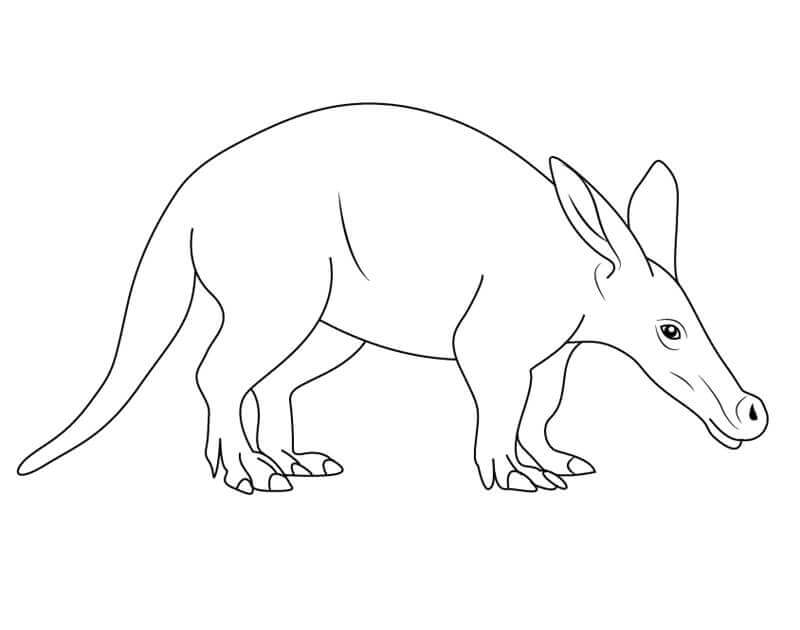 dibujo aardvark normal para colorear