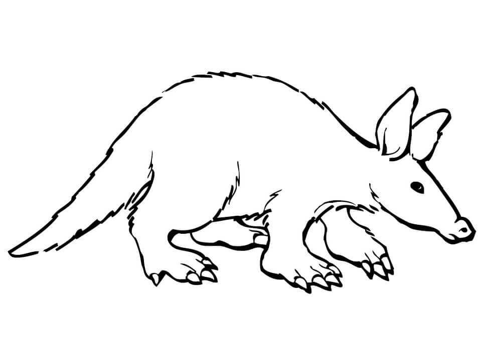 dibujo aardvark simple para colorear