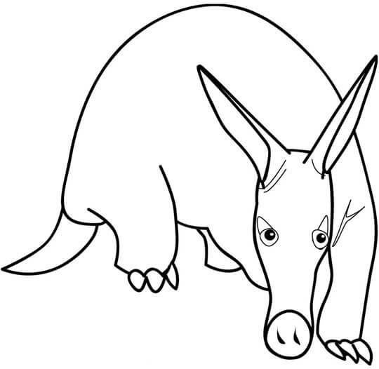 dibujo impresionante oso hormiguero para colorear