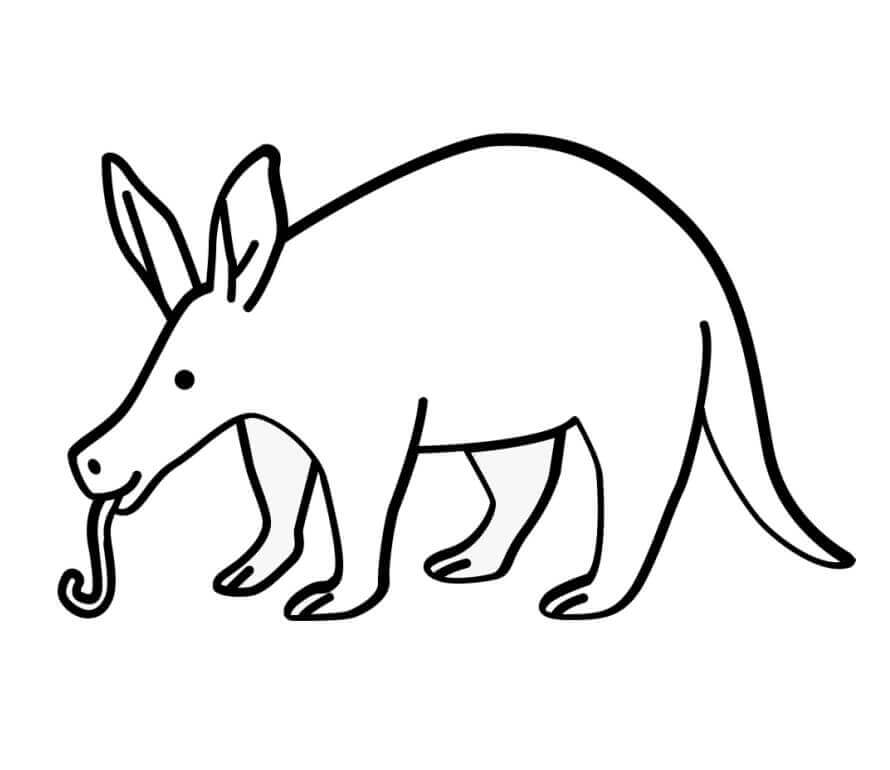 dibujo oso hormiguero divertido para colorear