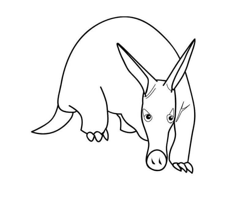 dibujo un oso hormiguero normal para colorear