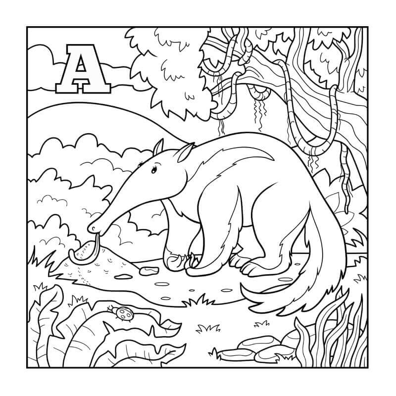 dibujo un oso hormiguero para colorear