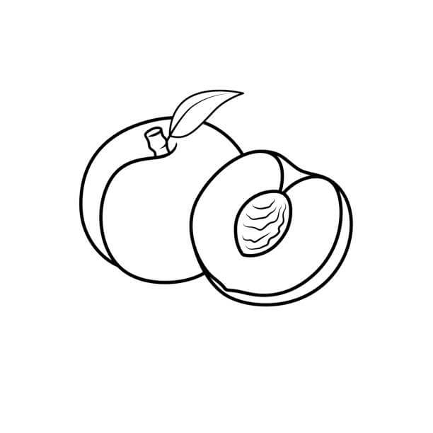 dibujo albaricoque entero y albaricoque cortado por la mitad para colorear
