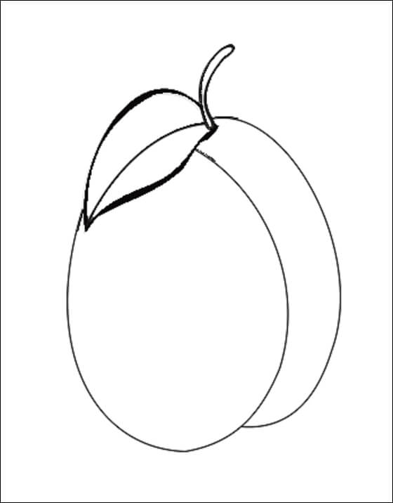 dibujo albaricoque facil para colorear