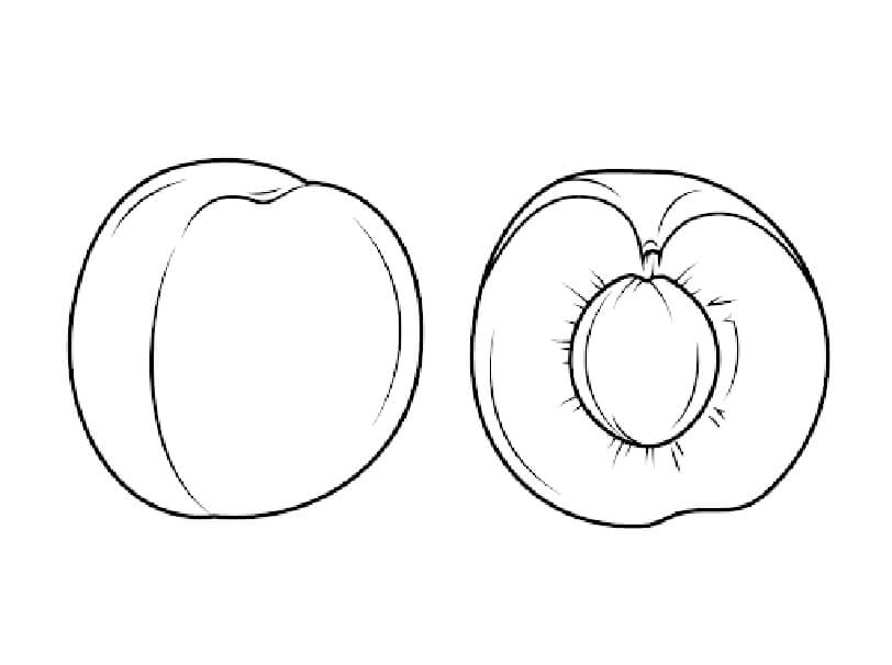 dibujo bonito albaricoque para colorear