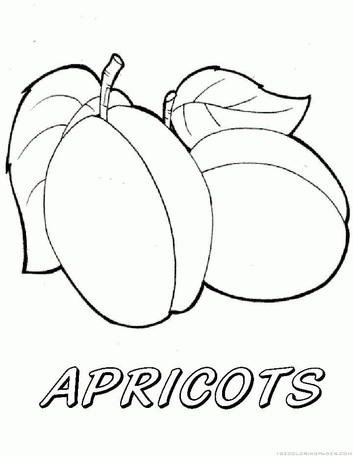 dibujo dos albaricoque para colorear