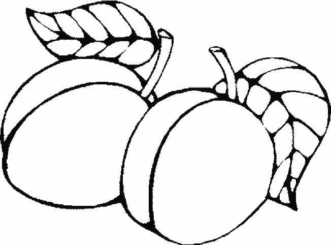 dibujo dos albaricoques facil para colorear