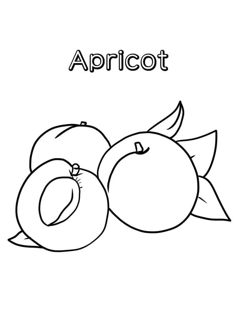 dibujo gran albaricoque para colorear