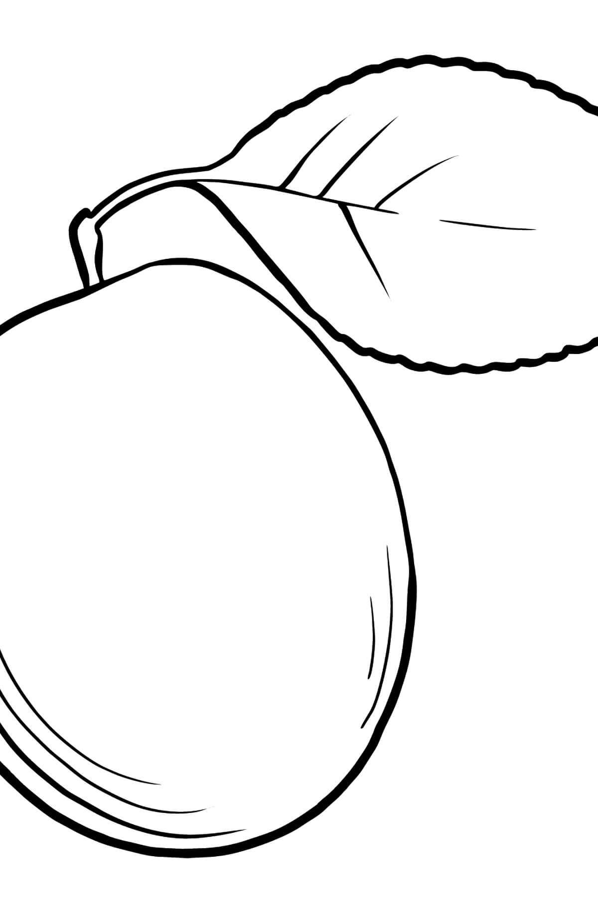 dibujo lindo albaricoque para colorear
