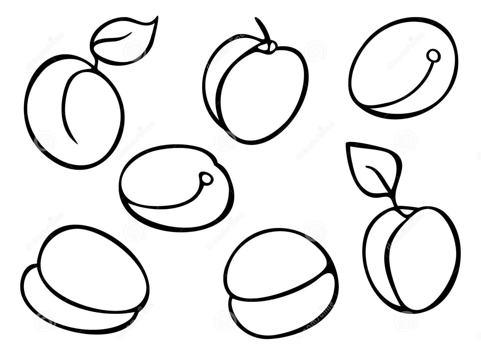 dibujo siete albaricoque para colorear