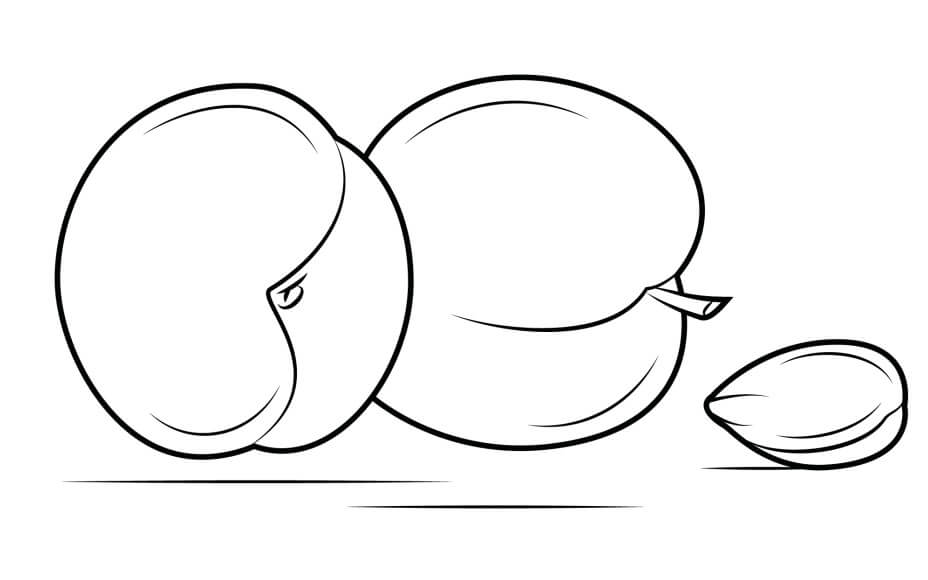 dibujo tres albaricoque para colorear