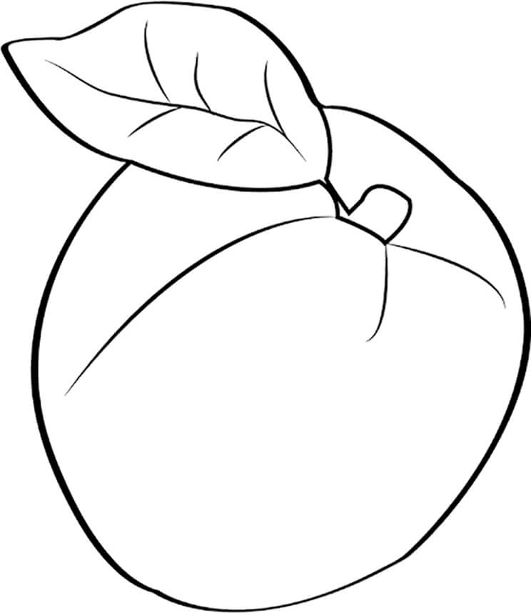 Dibujo de Albaricoque Normal para Colorear y Imprimir