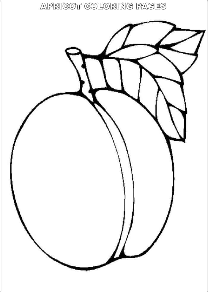 Dibujo de Albaricoque Simple para Colorear y Imprimir