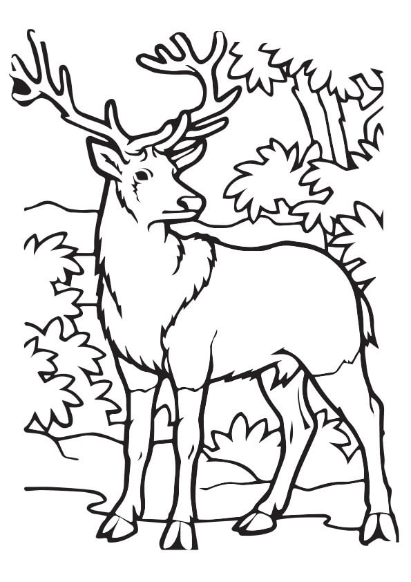 Dibujo de Alces En La Jungla para Colorear y Imprimir