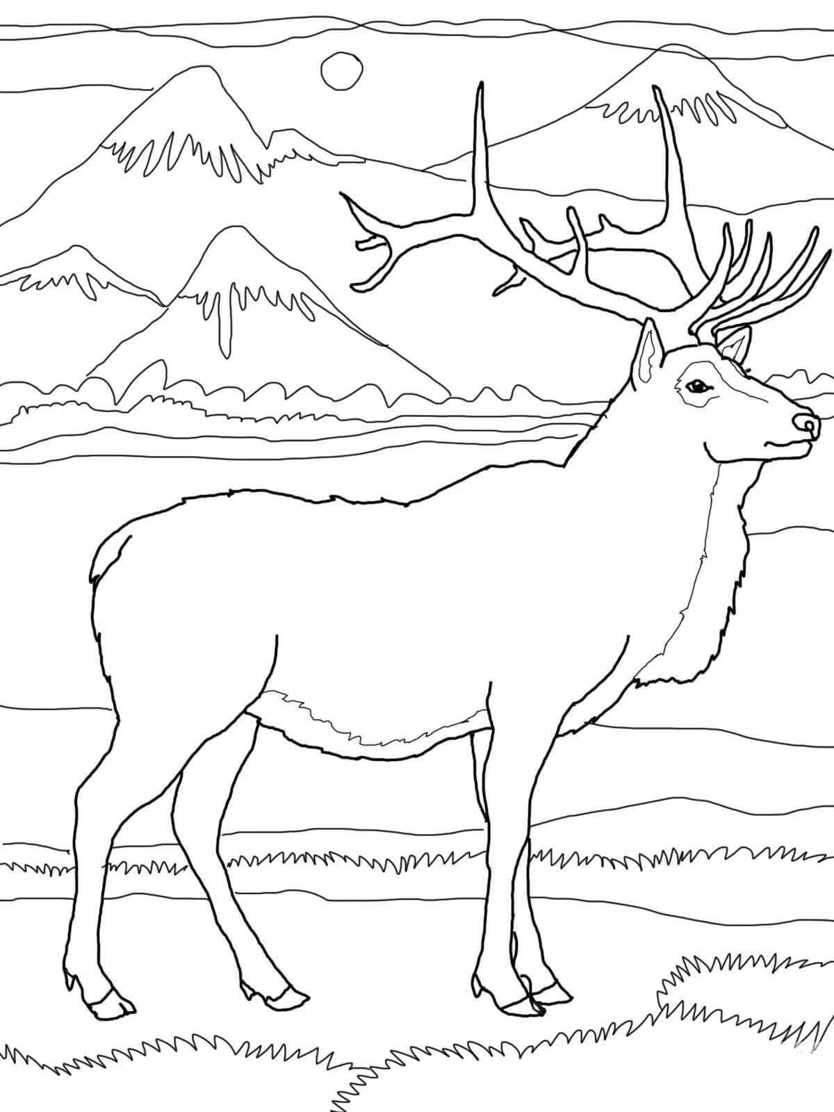 Dibujo de Alces y Hermoso Paisaje para Colorear y Imprimir
