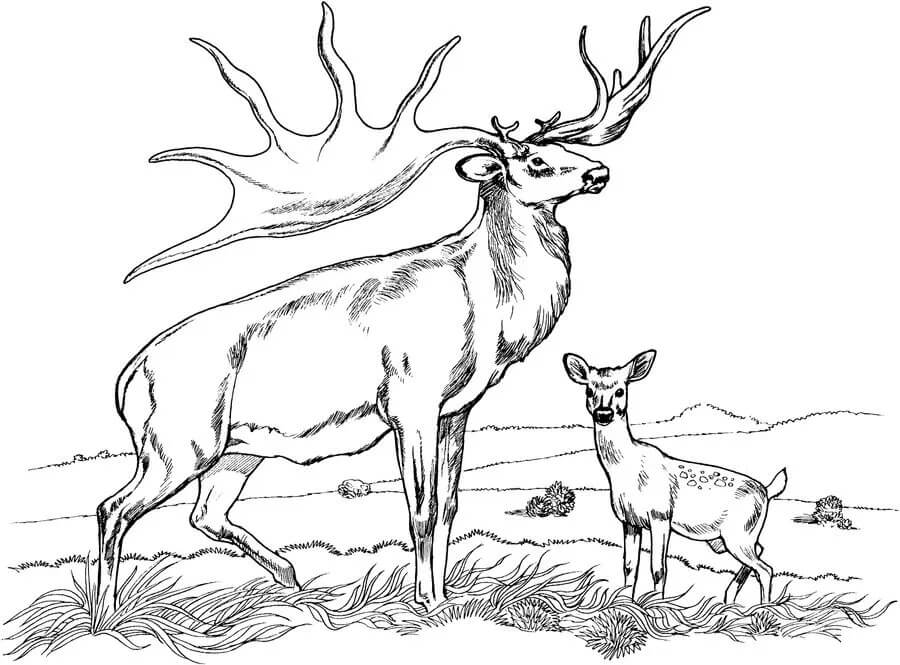dibujo madre e hijo para colorear