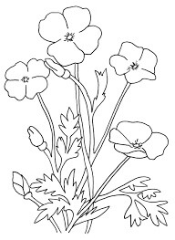 Dibujo de Amapola 4 para Colorear y Imprimir