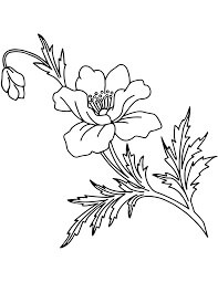 Dibujo de Amapola 7 para Colorear y Imprimir