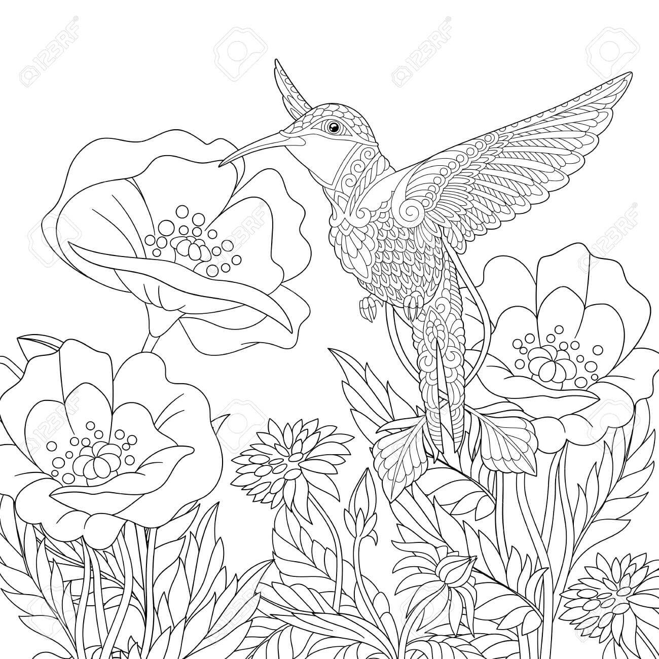 Dibujo de Amapola y Pájaro para Colorear y Imprimir