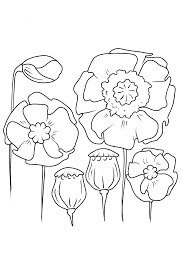 Dibujo de Seis Amapolas para Colorear y Imprimir