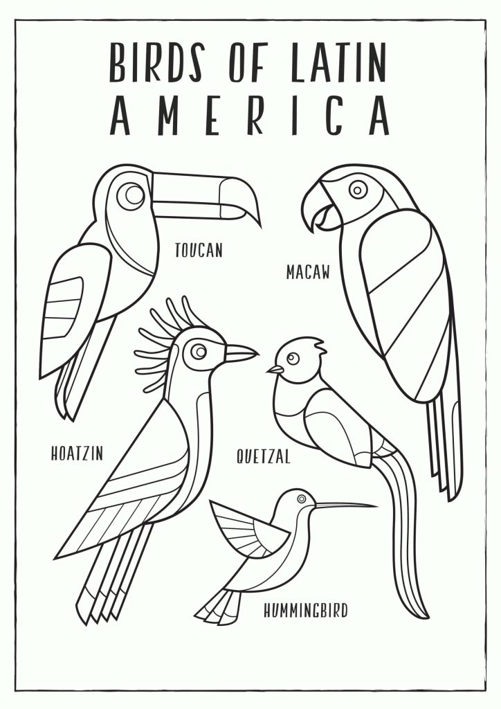 Dibujo de Aves de Latinoamerica Scaled para Colorear y Imprimir