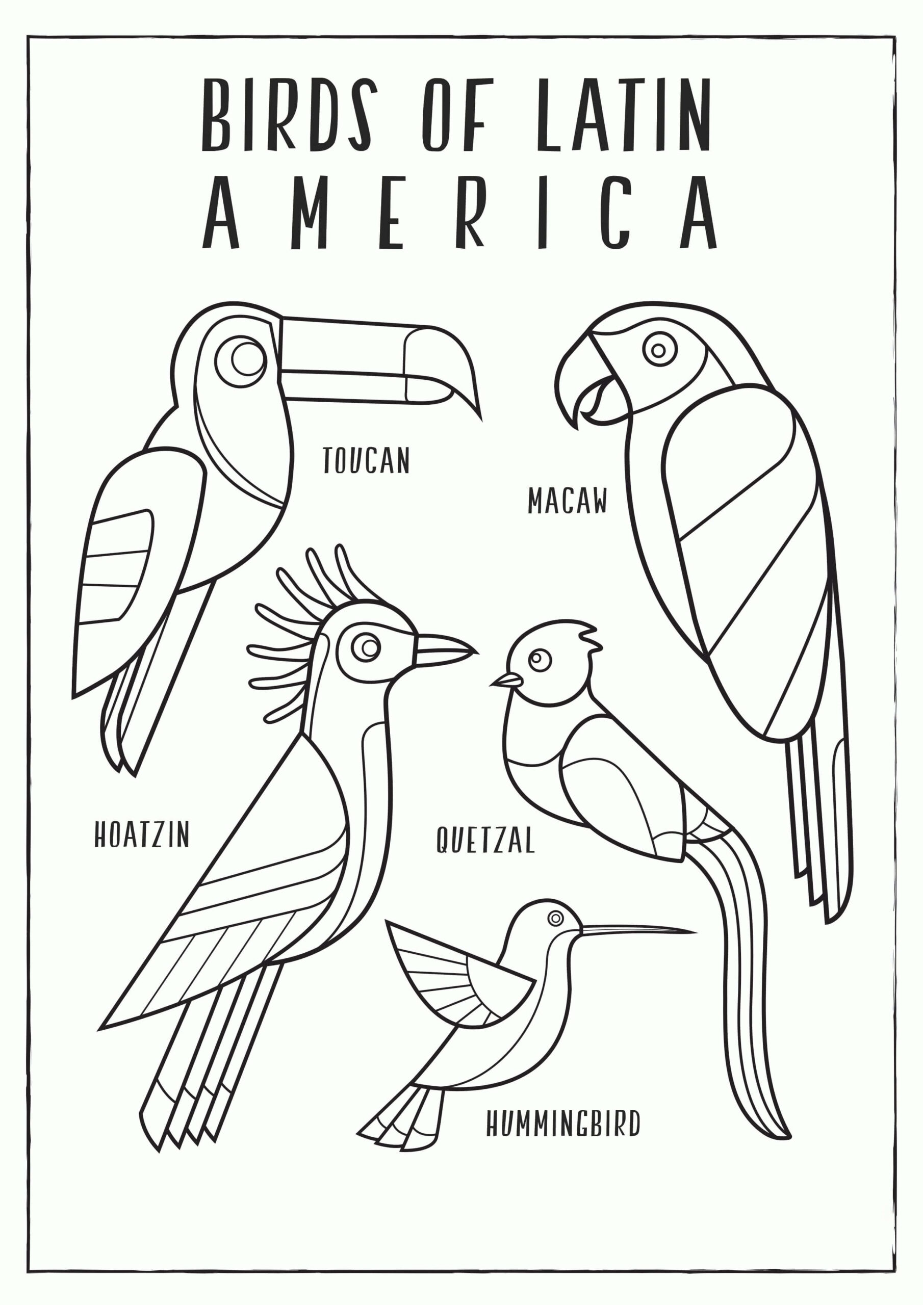 Dibujo de Aves de Latinoamerica Scaled para Colorear y Imprimir
