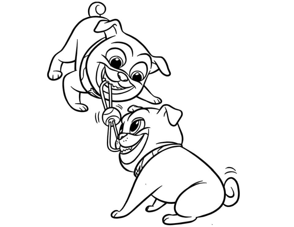 Dibujo de Bingo y Rolly Divertido para Colorear y Imprimir