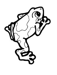 dibujo anfibios rana para colorear