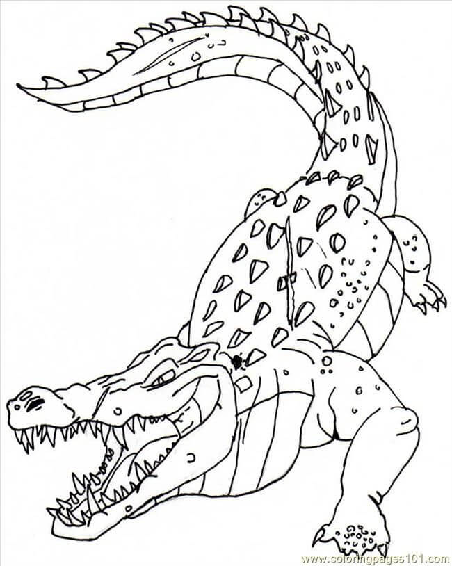 dibujo cocodrilo enojado 1 para colorear