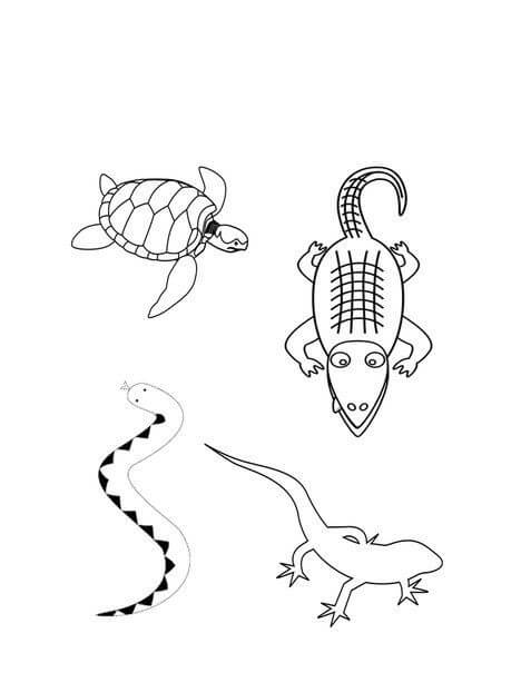 dibujo cuatro anfibios para colorear