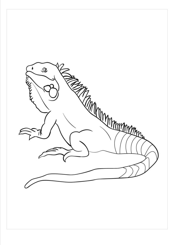 Dibujo de Salamandra de Manchas Amarillas para Colorear y Imprimir