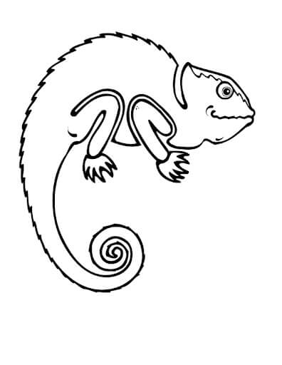 dibujo geco para colorear