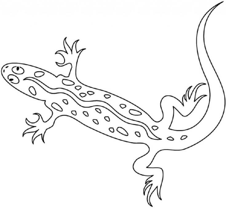 dibujo lagarto 1 para colorear