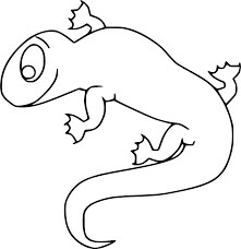 dibujo lagarto facil para colorear