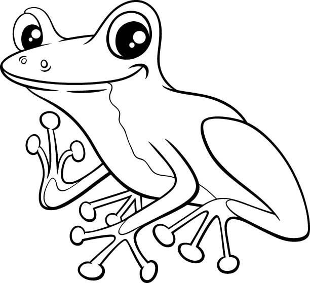 dibujo rana divertido para colorear