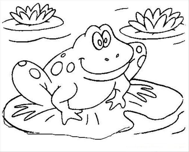 dibujo rana en hoja sonriente para colorear