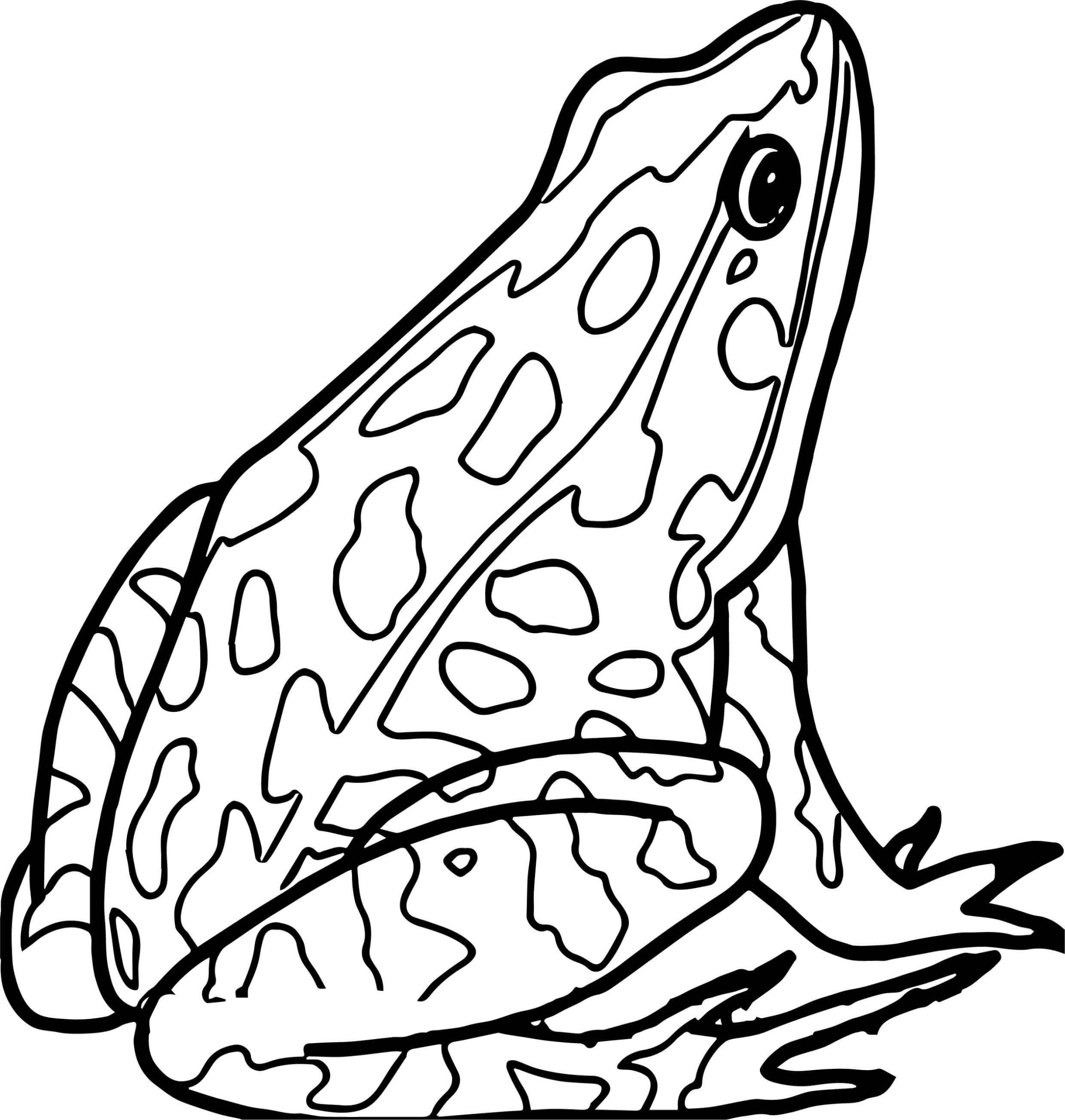 dibujo rana sentada scaled para colorear