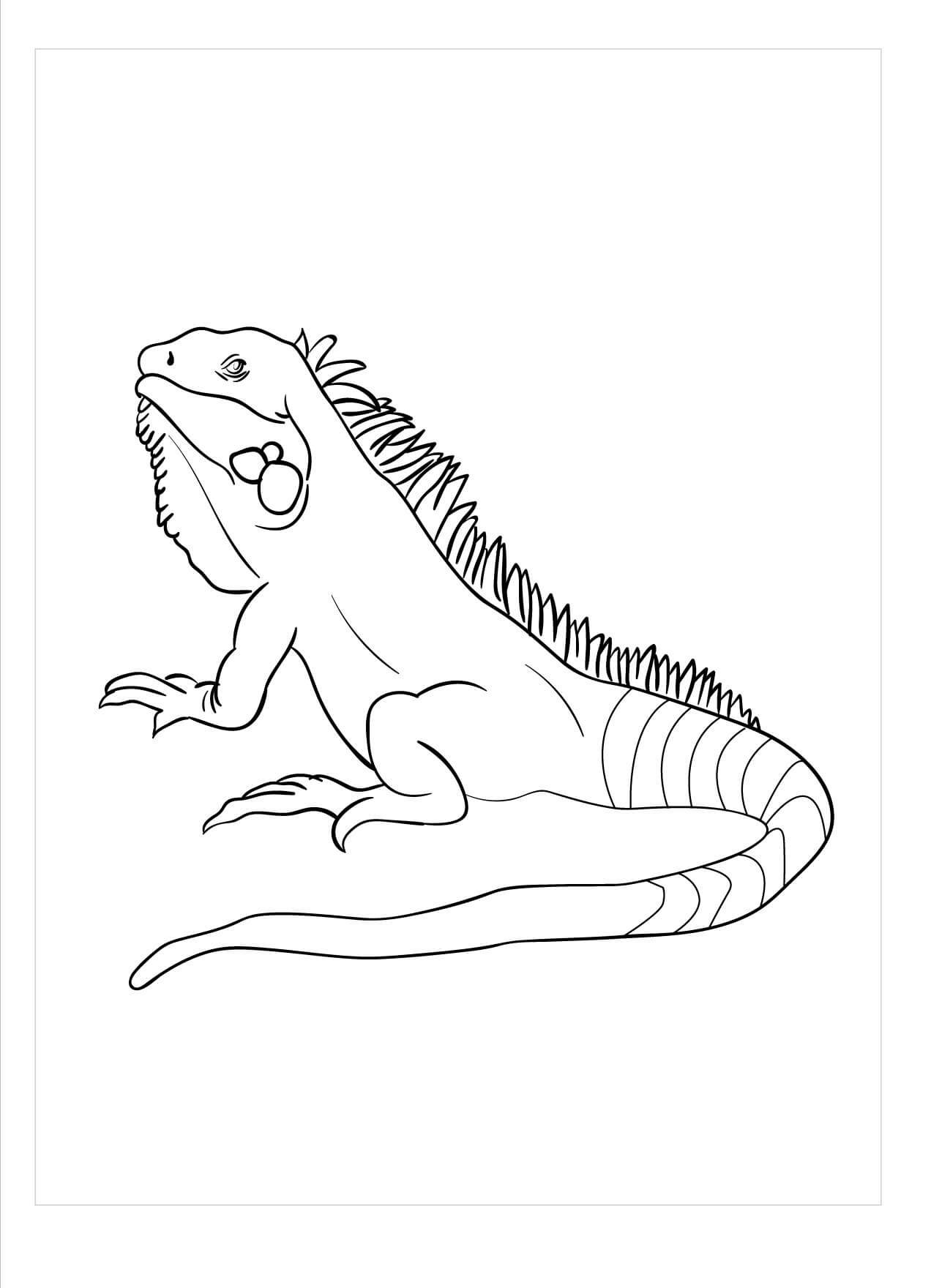 dibujo salamandra de manchas amarillas para colorear