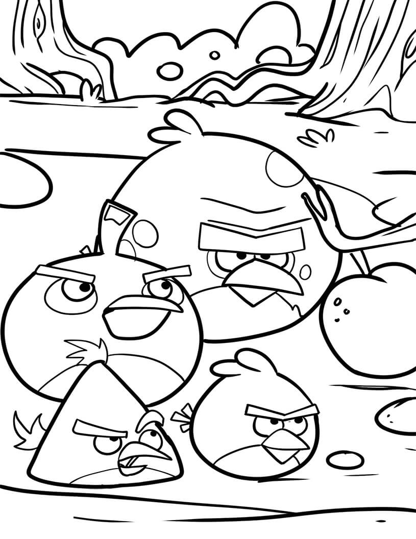 Dibujo de Cuatro Pájaros de Angry Birds para Colorear y Imprimir