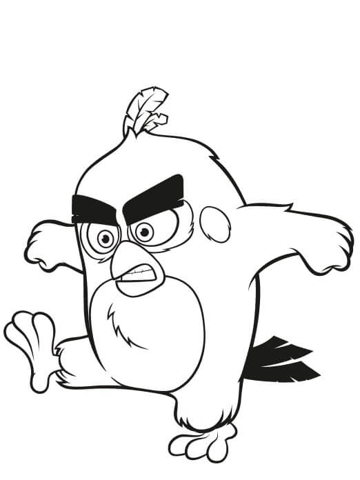 Dibujo de Pájaros Rojos Geniales Enojados para Colorear y Imprimir