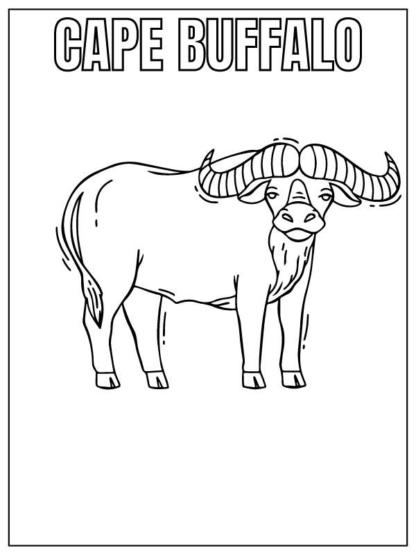 Dibujo de Cape Buffalo Safari Animal Coloring Page para Colorear y Imprimir