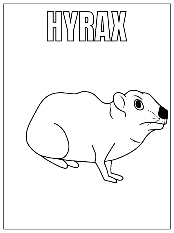 Dibujo de Hyrax Safari Animal Coloring Page para Colorear y Imprimir