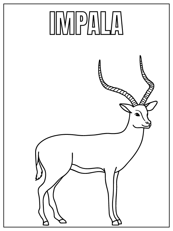 Dibujo de Impala Safari Animal Coloring Page para Colorear y Imprimir