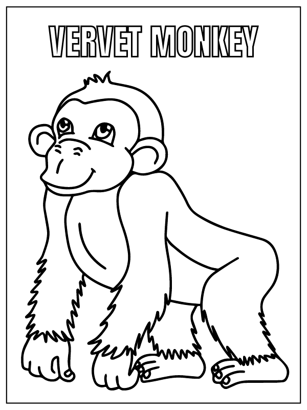 Dibujo de Vervet Monkey Safari Animal Coloring Page para Colorear y Imprimir