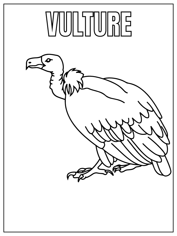 Dibujo de Vulture Safari Animal Coloring Page para Colorear y Imprimir