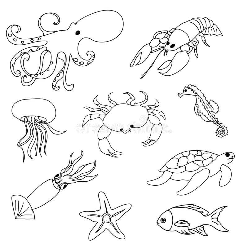 dibujo animal marino imprimible para colorear
