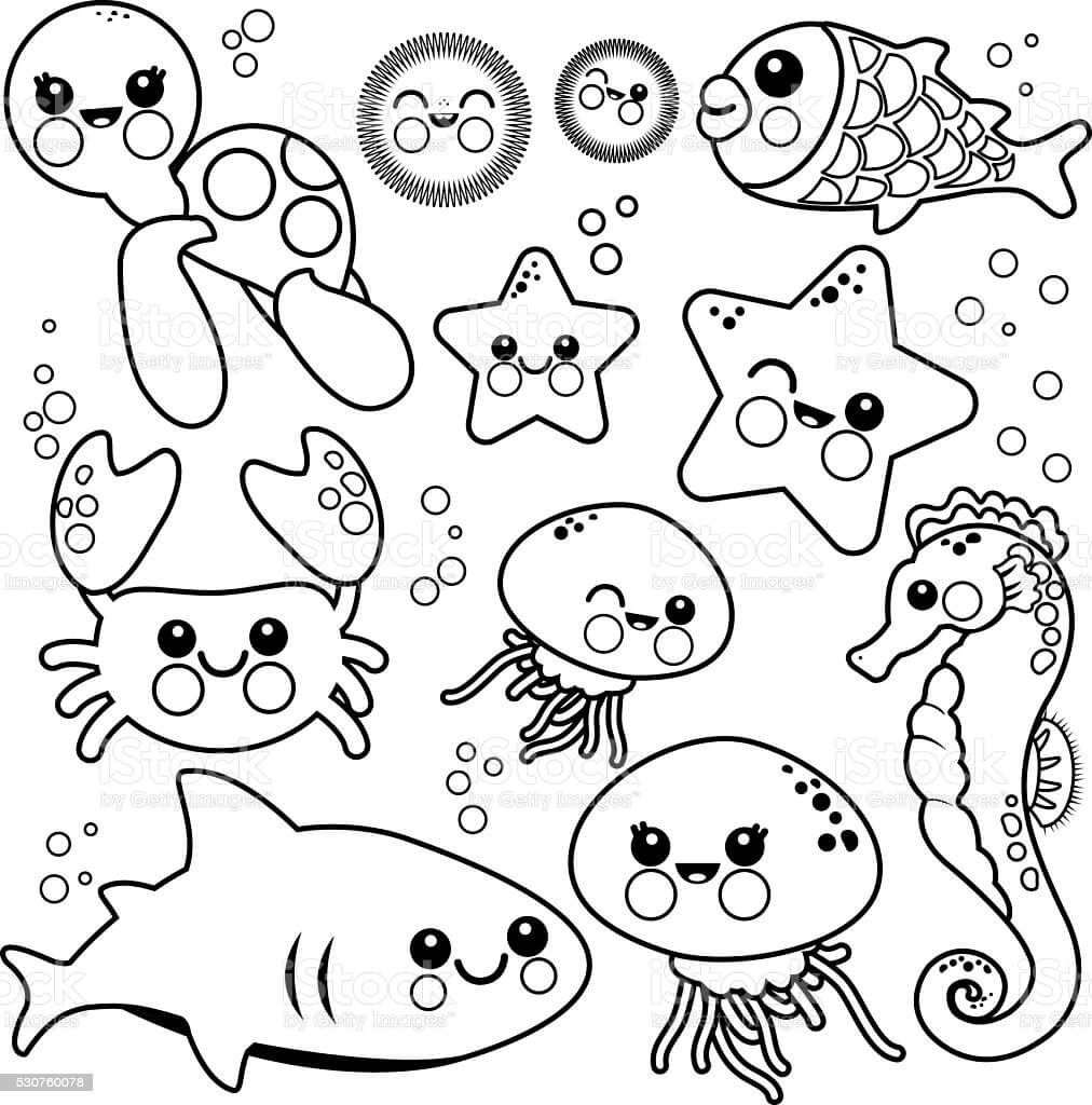 dibujo animal marino simple para colorear
