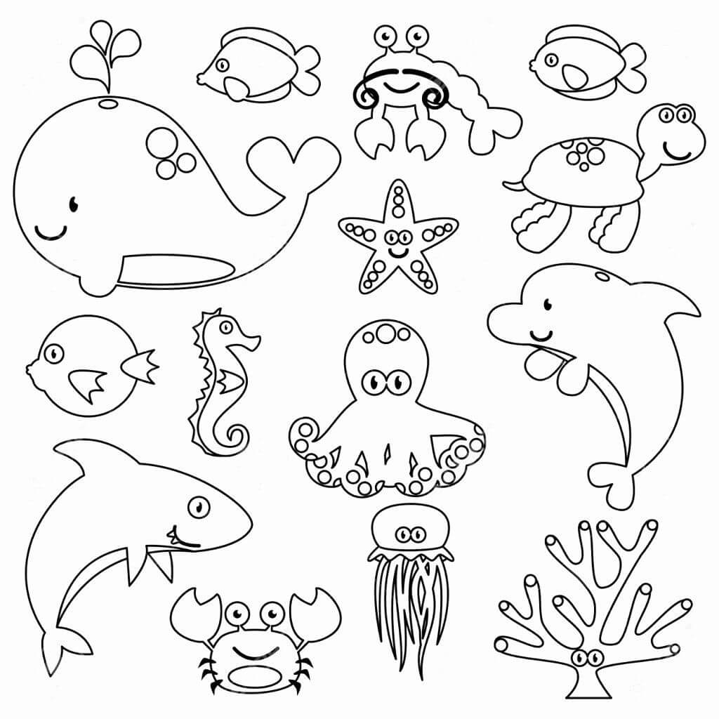 dibujo bonito animal marino para colorear