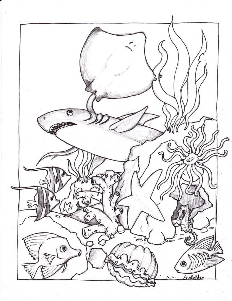 Dibujo de Animal Marino Imprimible para Colorear y Imprimir